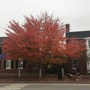 Meet your Posher, Brennan